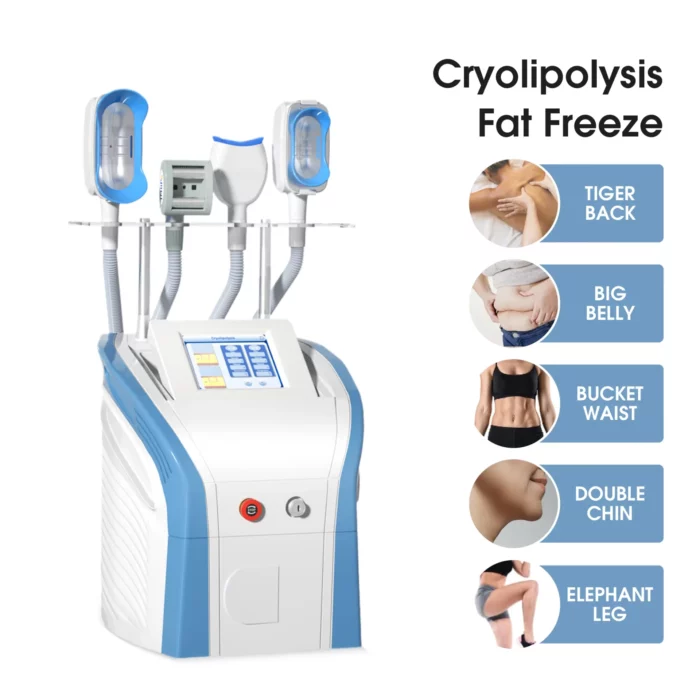 www.hktmay.com_cryolipolyis_TM-922D_Tingmay Criolipolisis Machine_Targeted Areas