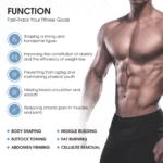 www.hktmay.com_TM-EMT2_Tingmay EMS Sculpt Machine for Fat Burning and Body Shaping_Functions